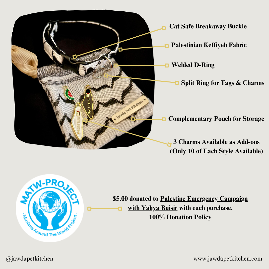 Keffiyeh Breakaway Cat Collar