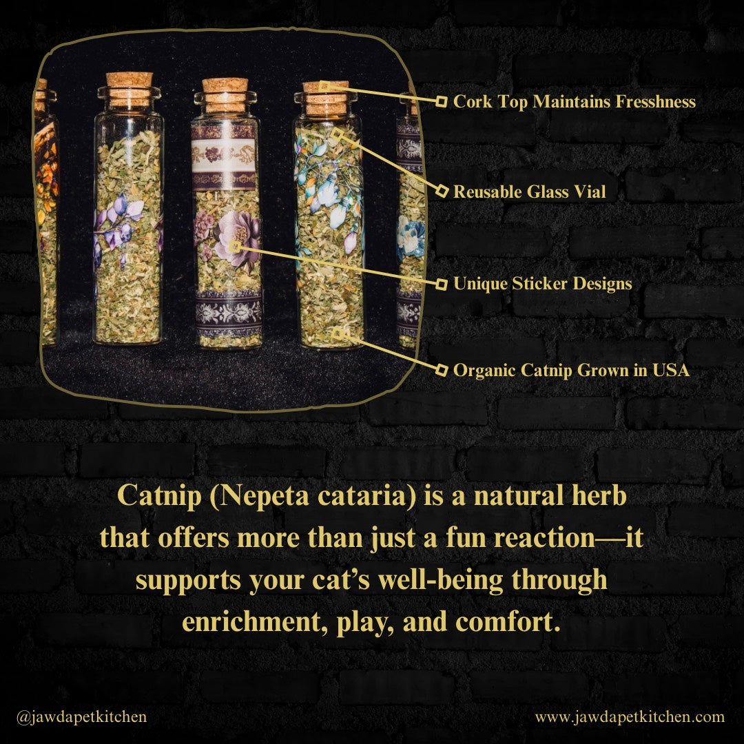Premium Catnip Vials for Cats – Natural Enrichment & Play (0.05 oz)