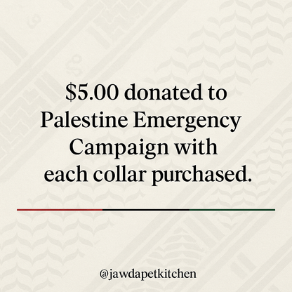 Palestinian Keffiyeh Cat Collar | Handmade Breakaway Collar for Cats